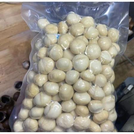 Nhân Hạt Macca loại Ngon 500gr - 1Kg 🌰 Đã tách vỏ - Ăn Liền - Làm bánh - Sữa hạt - Bơ Hạt Siêu Ngon tốt cho sức khỏe