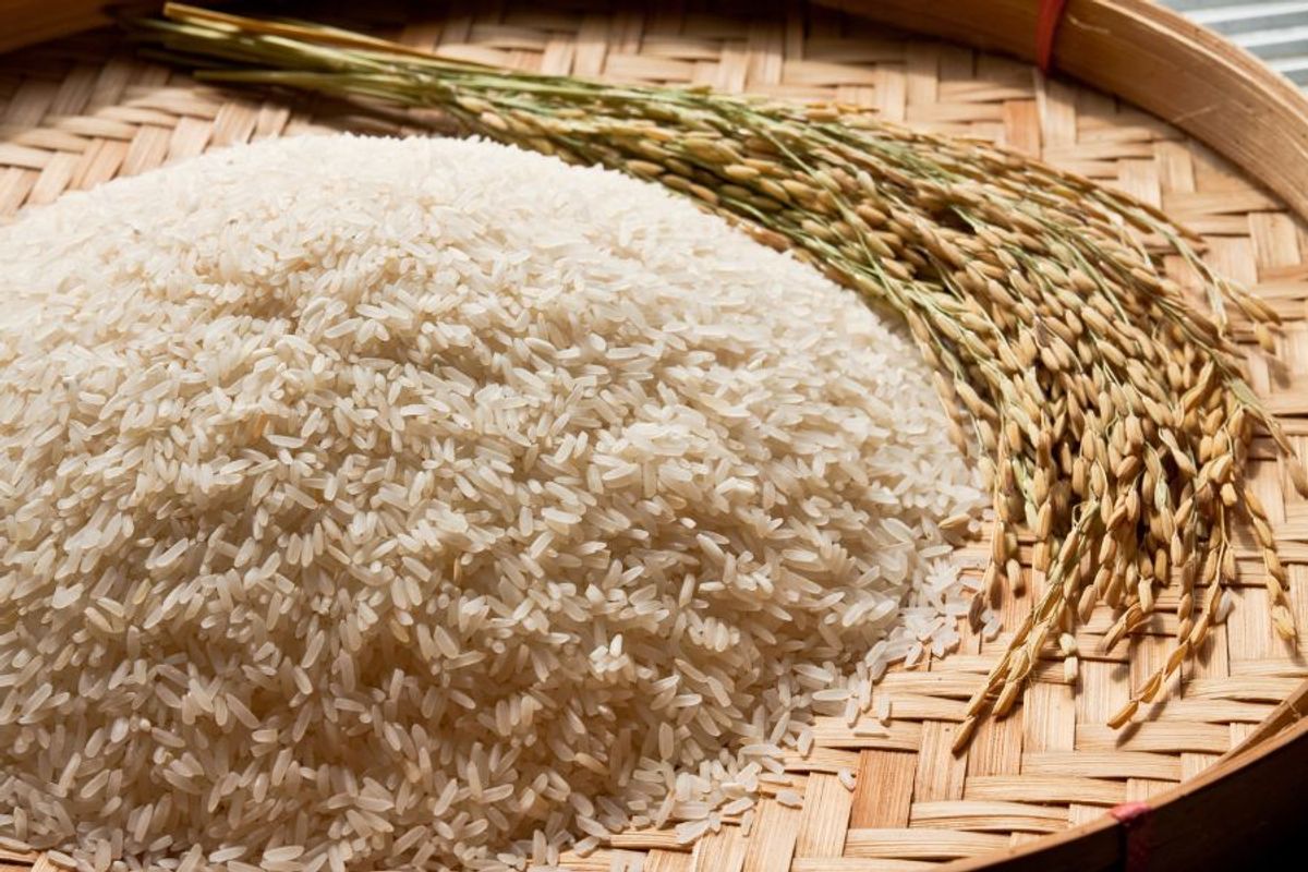 Khi Nào Gạo Trắng Là Lựa Chọn Tốt Hơn Gạo Lứt?
