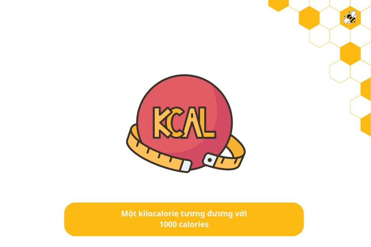 Một kilocalorie tương đương với 1000 calories