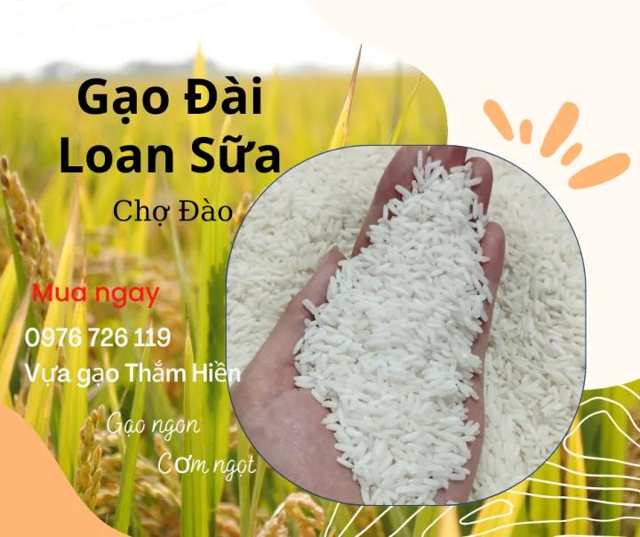 5KG Gạo Đài Loan Sữa - Chợ Đào - Gạo Thơm Dẻo, Đậm Cơm - Bena Organic