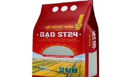 Gạo Thơm ST24: Lý Do Tại Sao Đây Là Lựa Chọn Số Một Cho Mỗi Bữa Cơm