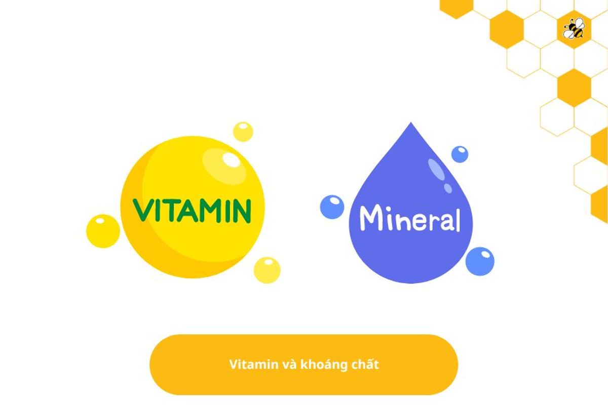 Vitamin và khoáng chất