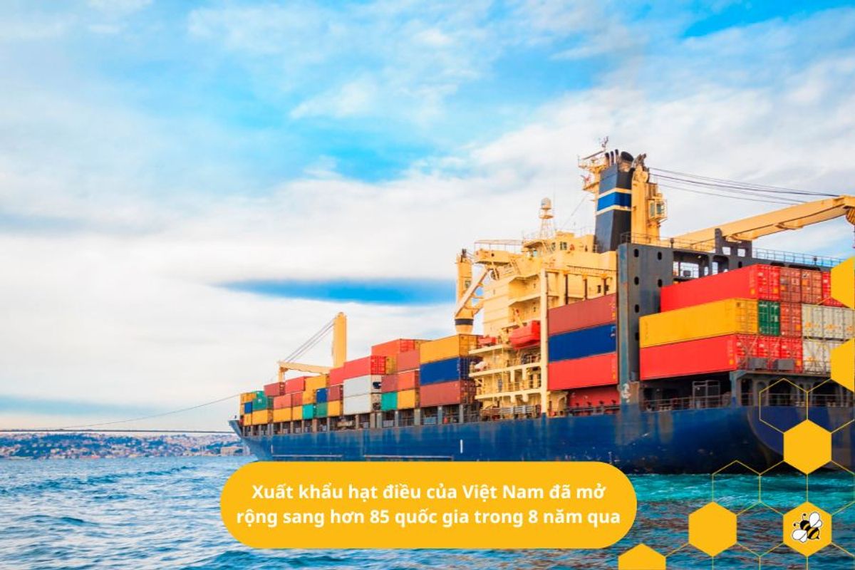 Xuất khẩu hạt điều của Việt Nam đã mở rộng sang hơn 85 quốc gia trong 8 năm qua