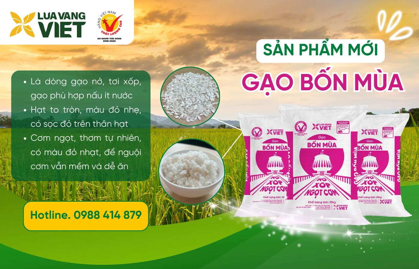 Gạo Bốn Mùa