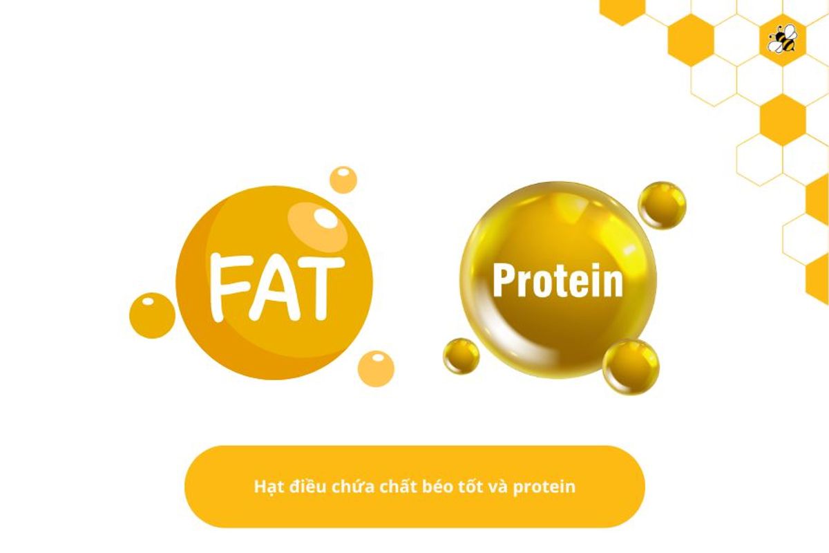 Hạt điều chứa chất béo tốt và protein