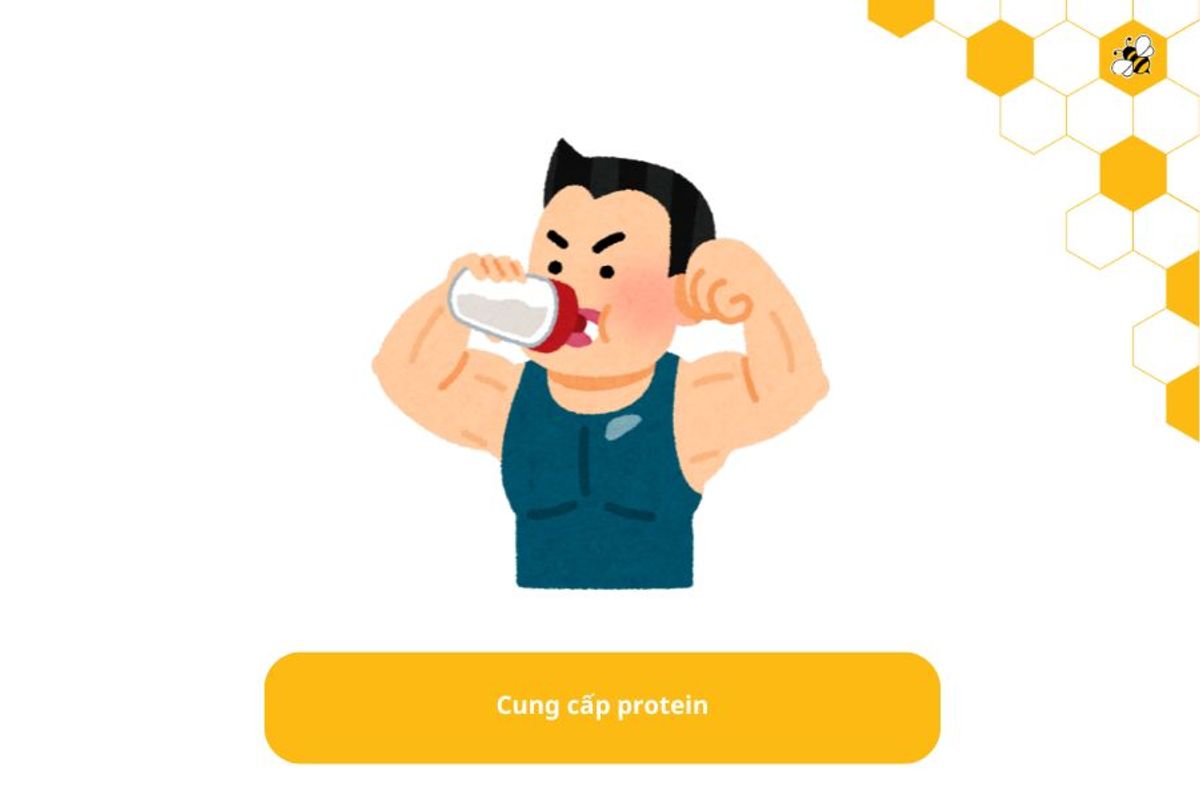 Cung cấp protein