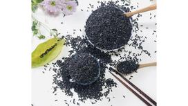 Gạo Lứt Tím – Siêu Thực Phẩm Cho Sức Khỏe Toàn Diện