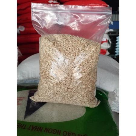 [SỈ] 10KG GẠO LỨC HUYẾT RỒNG _ GẠO NẾP THAN _ GẠO NẾP LỨC _ GẠO LỨC ĐEN _ GẠO LỨC _ nongsangiasi