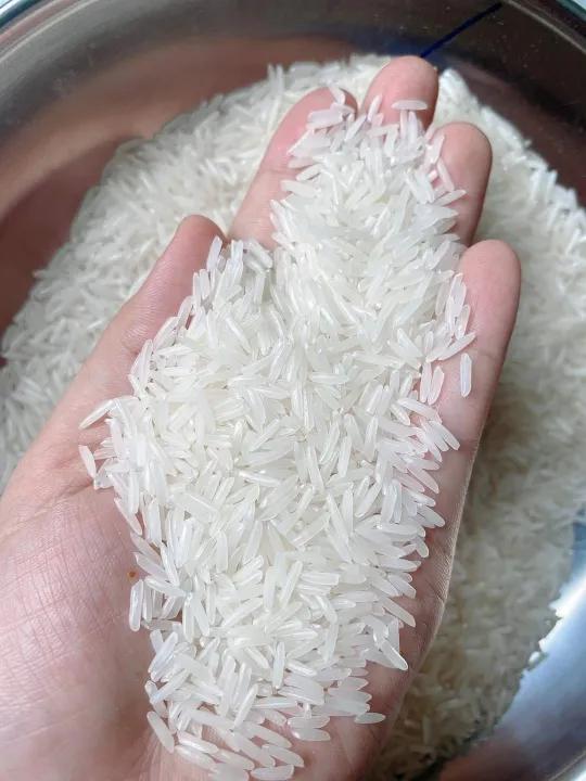 [HCM] 5kg gạo St25.. lúa tôm gạo ngon nhất thế giới năm 2019&2023