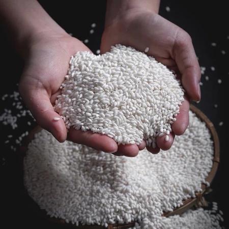 Gạo Nếp Cái Hoa Vàng Thơm Dẻo Hạt To Gạo Mới, Gạo Ngon Chất Lượng Đảm Bảo - Gạo Việt.HA