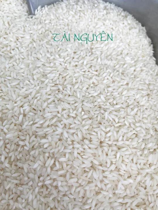 Gạo Tài Nguyên túi 5kg nở nhiều thơm mềm xốp cơm không dẻo