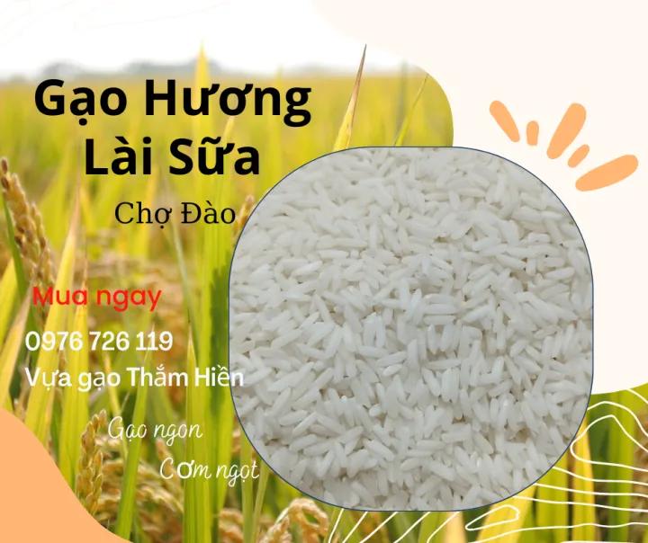 5KG Gạo Hương Lài Sữa - Chợ Đào - Gạo Dẻo Vừa, Thơm cơm - Bena Organic