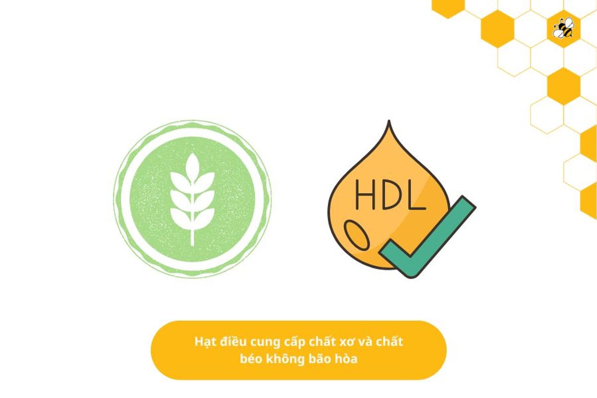 Hạt điều cung cấp chất xơ và chất béo không bão hòa