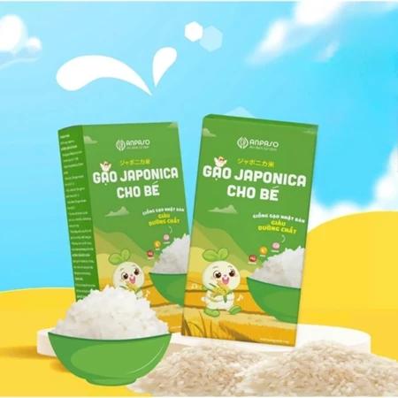 Gạo Japonica Cho Bé Ăn Dặm Anpaso 1kg-Giống gạo Nhật Bản Chứa Nhiều Vitamin Và Khoáng Chất ,THơm Dẻo