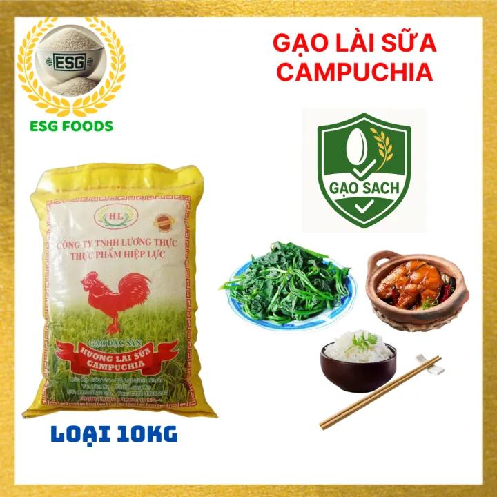 Gạo cao cấp lài sữa CAMPUCHIA thơm dẻo tự nhiên, hạt dài trắng đẹp, vị ngọt thanh, giữ cơm mềm lâu, đóng gói 10kg