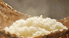 Top 16 Loại Gạo Ngon Dẻo Thơm Nhất Việt Nam Được Ưa Chuộng Hiện Nay