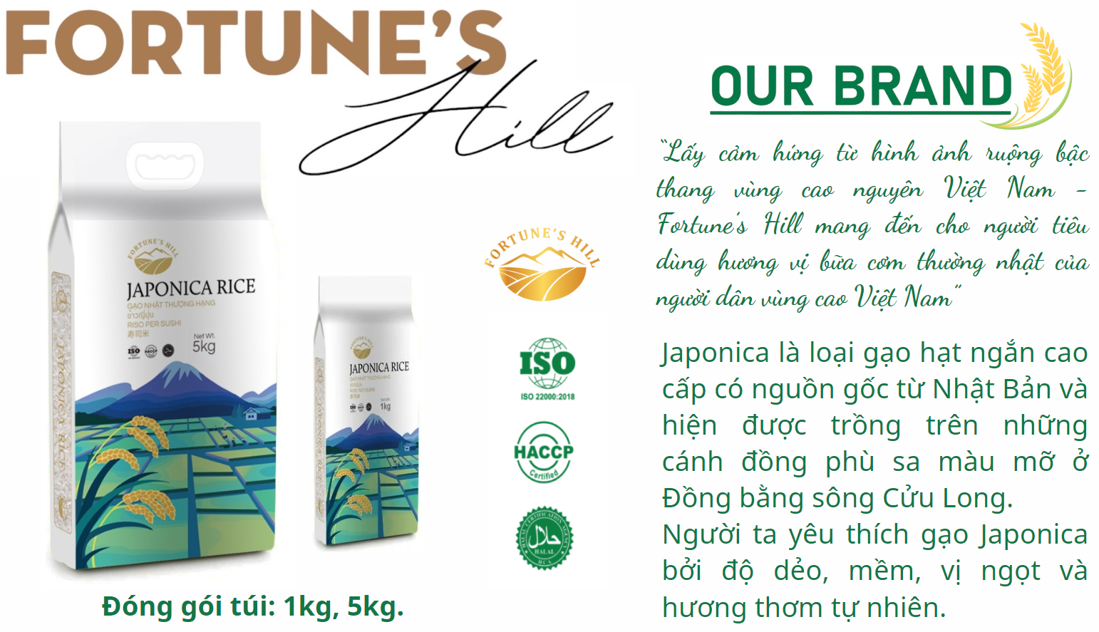 FORTUNE'S HILL - JAPONICA RICE