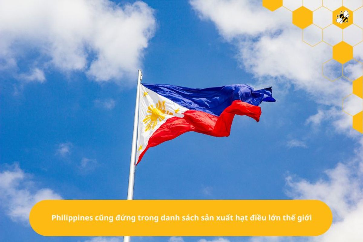 Philippines cũng đứng trong danh sách sản xuất hạt điều lớn thế giới