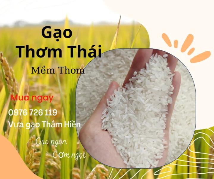 5KG Gạo Thơm Thái - Gạo Thơm Dẻo - Gạo Ngon Đậm Vị - Bena Organic