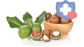 Hạt (quả) macca (mắc ca) có tốt không?