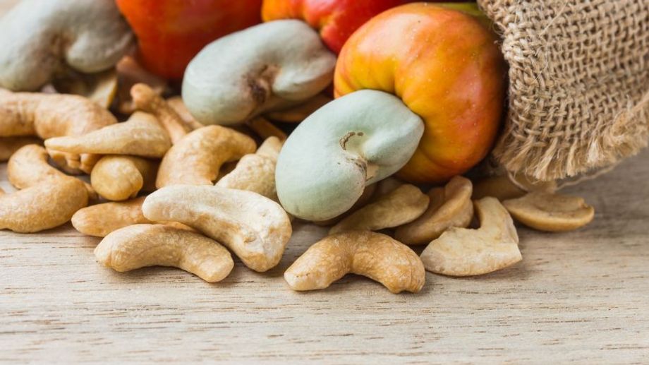 Điều là gì? Nguồn gốc và đặc điểm cây điều