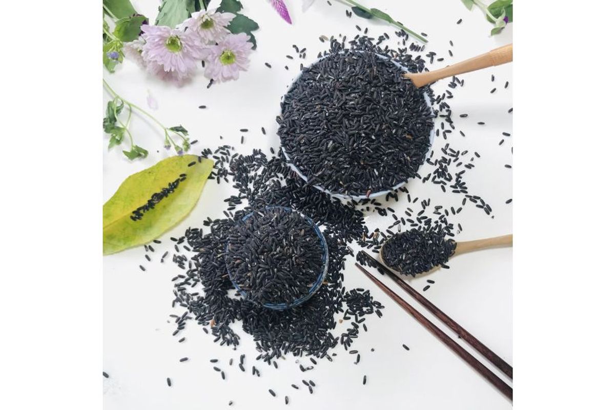 So Sánh Dinh Dưỡng Giữa Gạo Tím Than Và Gạo Lứt Thông Thường