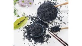 Gạo Tím Than Có Phải Gạo Lứt Không? Sự Thật Về “Loại Gạo Tốt Cho Sức Khỏe” Mà Nhiều Người Hiểu Lầm