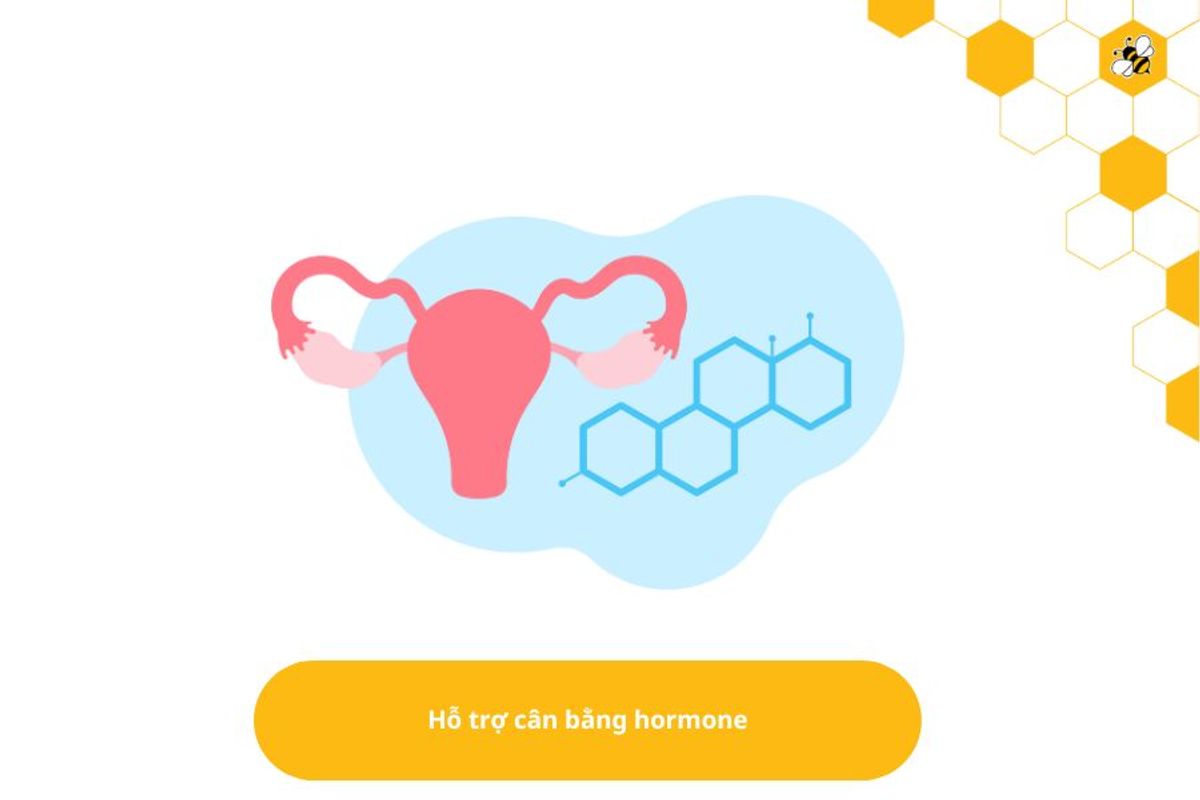 Hỗ trợ cân bằng hormone