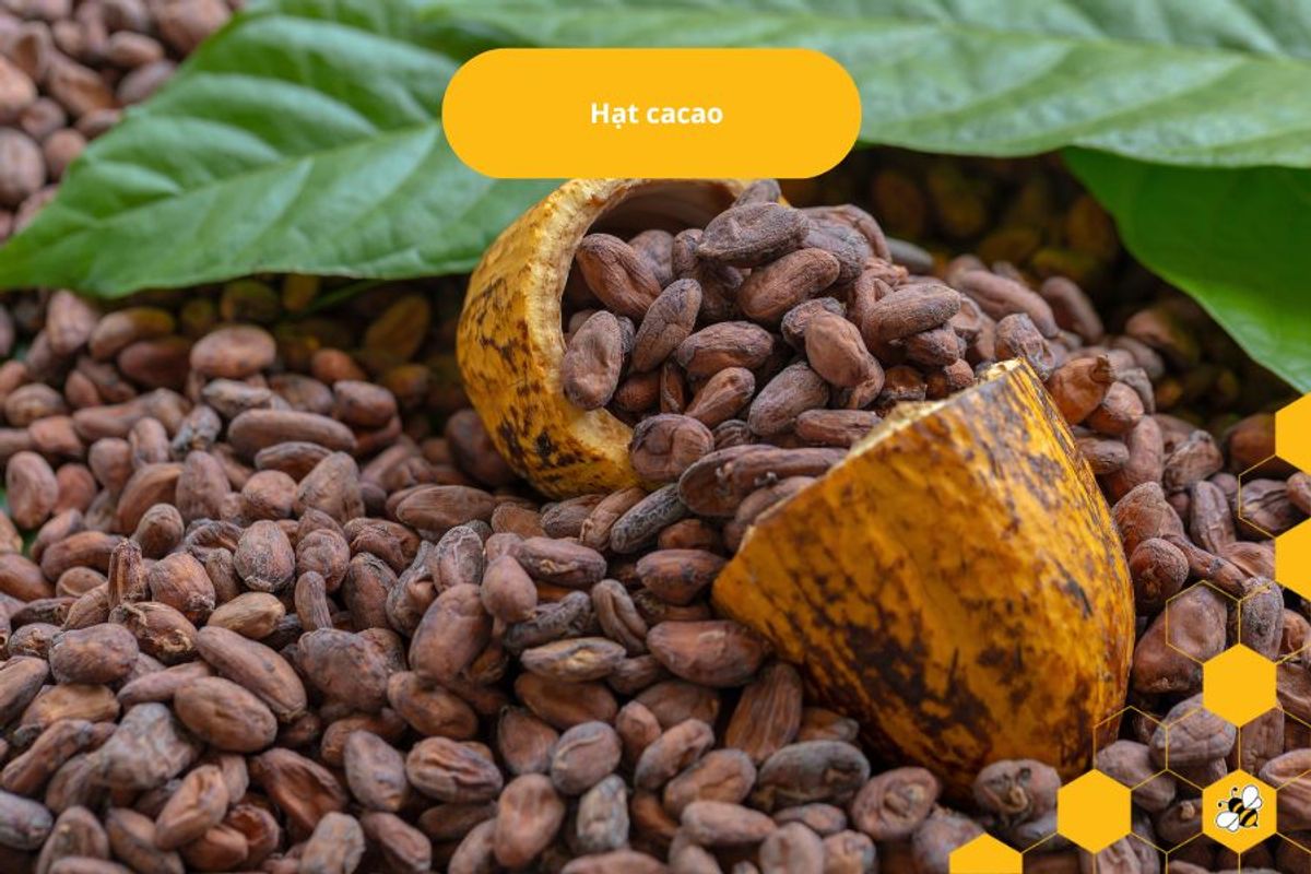 Hạt cacao