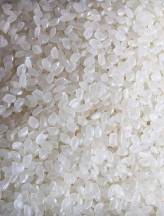 [HCM] 5kg gạo séng cù đặc sản Văn Chấn Yên Bái