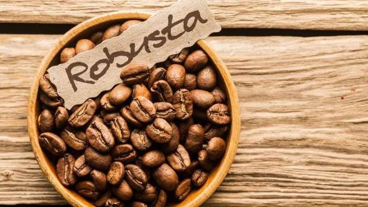 1KG CAFE ROBUSTA RANG MỘC