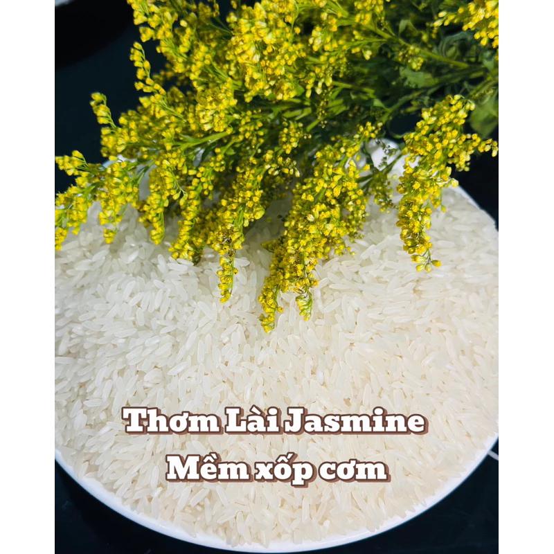 Gạo Thơm Lài Jasmine - Mềm xốp cơm [Túi 10kg]