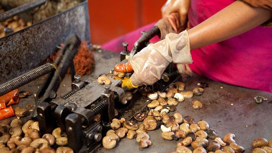 Bóc vỏ hạt điều là gì?