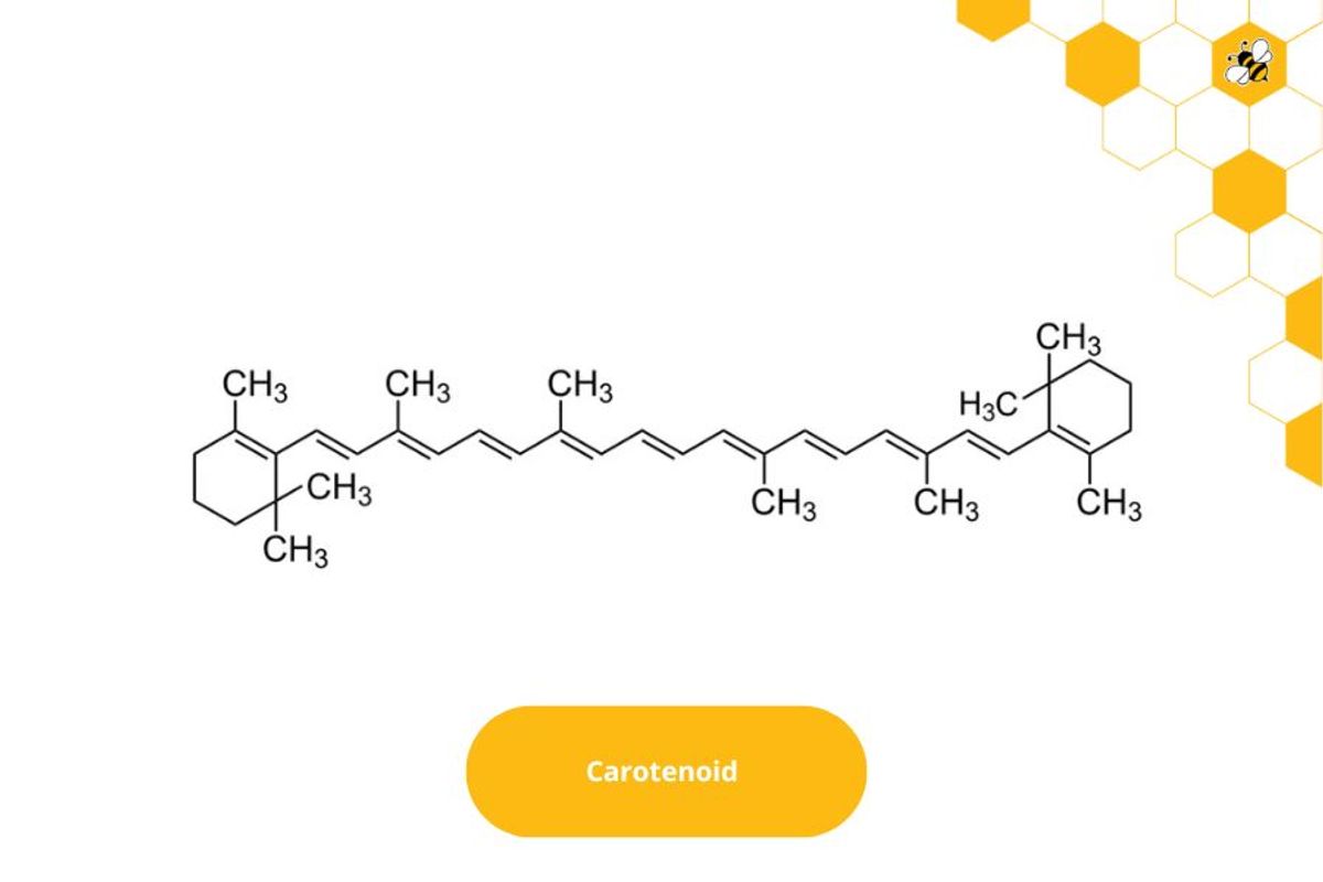 Carotenoid