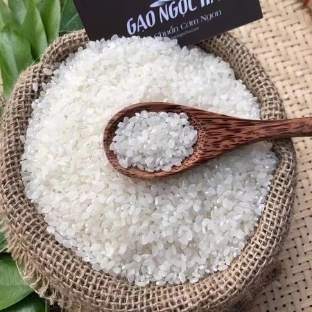 HỎA TỐC [5kg gạo Séng Cù] GẠO HẠT TRÒN LOẠI VIP ĐẶC SẢN VĂN CHẤN YÊN BÁI