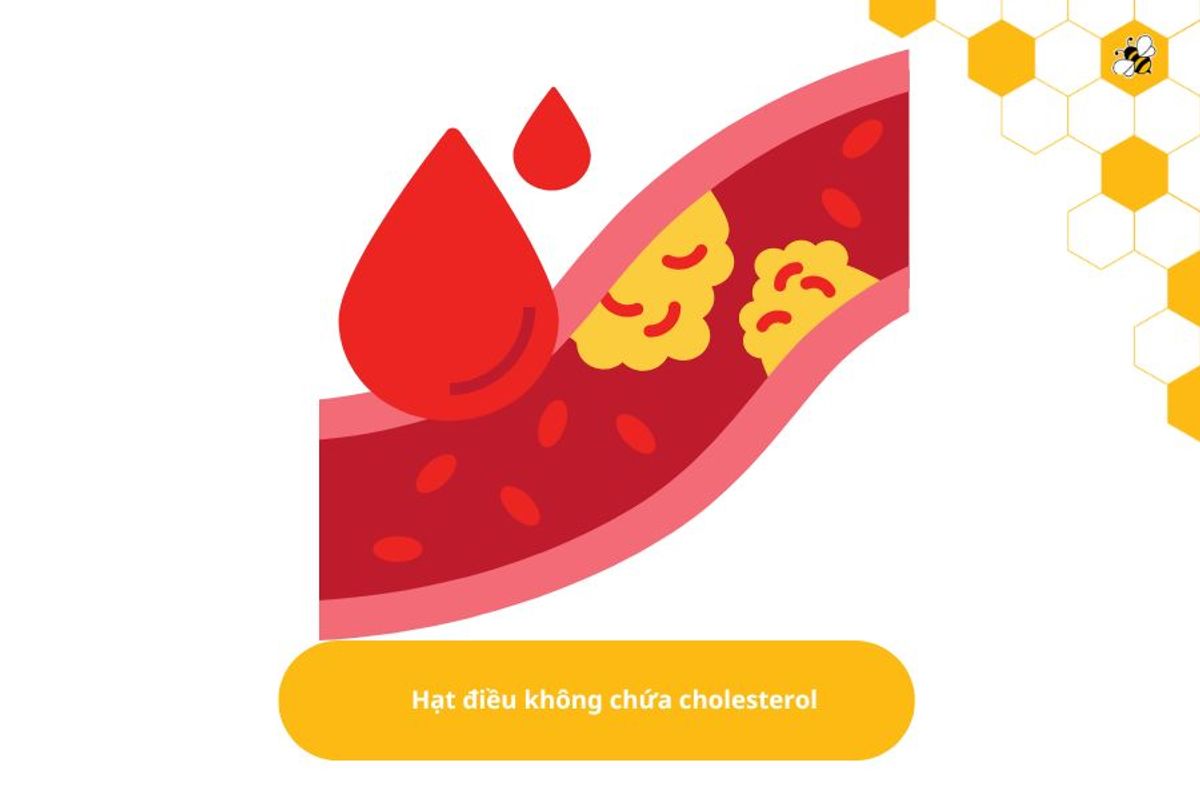 Hạt điều không chứa cholesterol