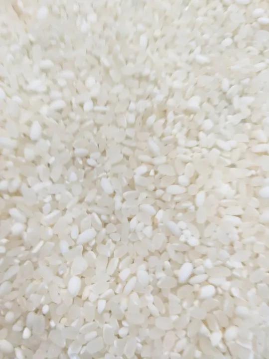 gạo séng cù loại tròn 10 kg