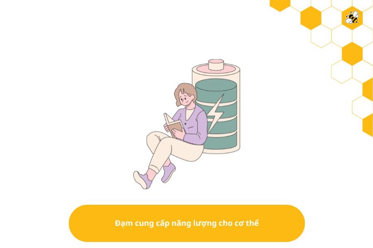 Đạm cung cấp năng lượng cho cơ thể