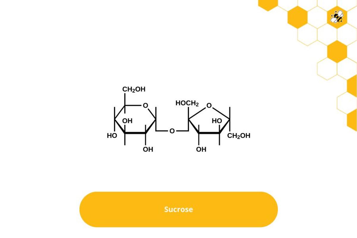 Sucrose