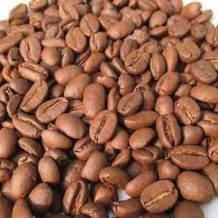 500G CAFE RANG MỘC ROBUSTA ( hạt nguyên) (sản phẩm có bảo hành) CAM KẾT GIỐNG CHUẨN F1