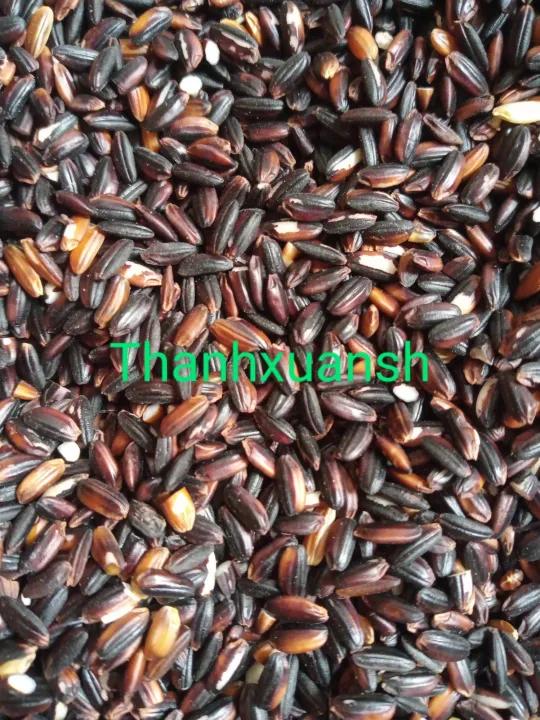 3kg gạo nếp cẩm Sìn Hồ