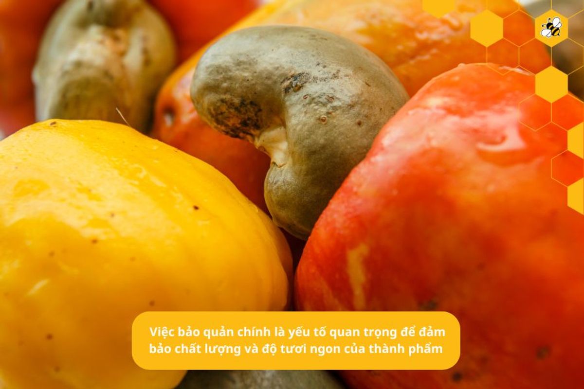 Việc bảo quản chính là yếu tố quan trọng để đảm bảo chất lượng và độ tươi ngon của thành phẩm