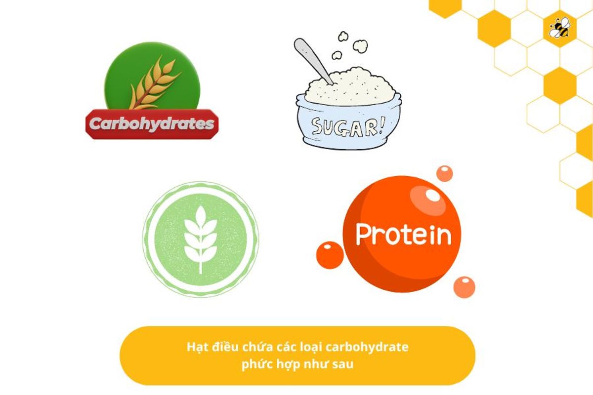 Hạt điều chứa các loại carbohydrate phức hợp như sau