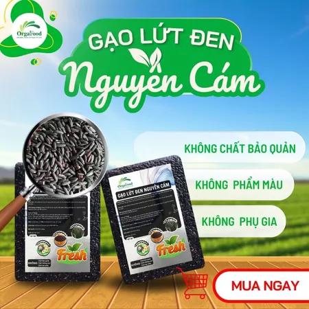 5kg Gạo lứt đen hữu cơ nguyên cám, dẻo mềm Orgafood, gạo lức ăn kiêng giảm cân, eatclean không cần ngâm