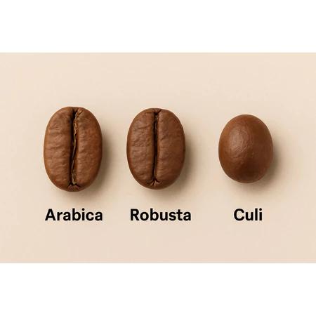 1 Kg Cà Phê Hạt Mix 3 loại hạt ( arabica ,rubusta ,culi )Hạt mộc nguyên chất loại S18_Cà phê Tây nguyên