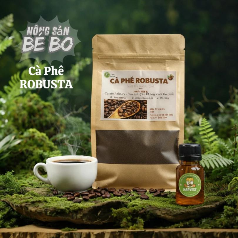 Cà phê nguyên chất Robusta Đắk Lắk, đậm đà hậu ngọt, cafe rang xay, cafe pha Nông Sản Bé Bo