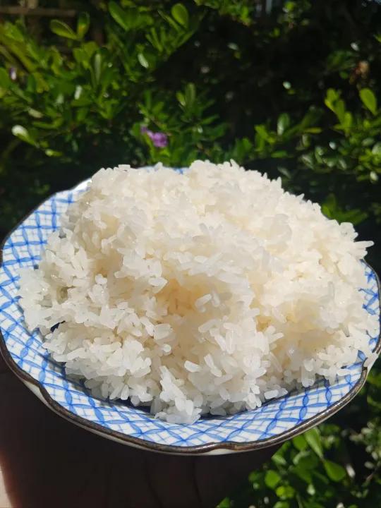 Gạo tấm ST25 của kỹ sư Hồ Quang Cua - túi 10kg - Dẻo vừa thơm nhẹ - chính hãng