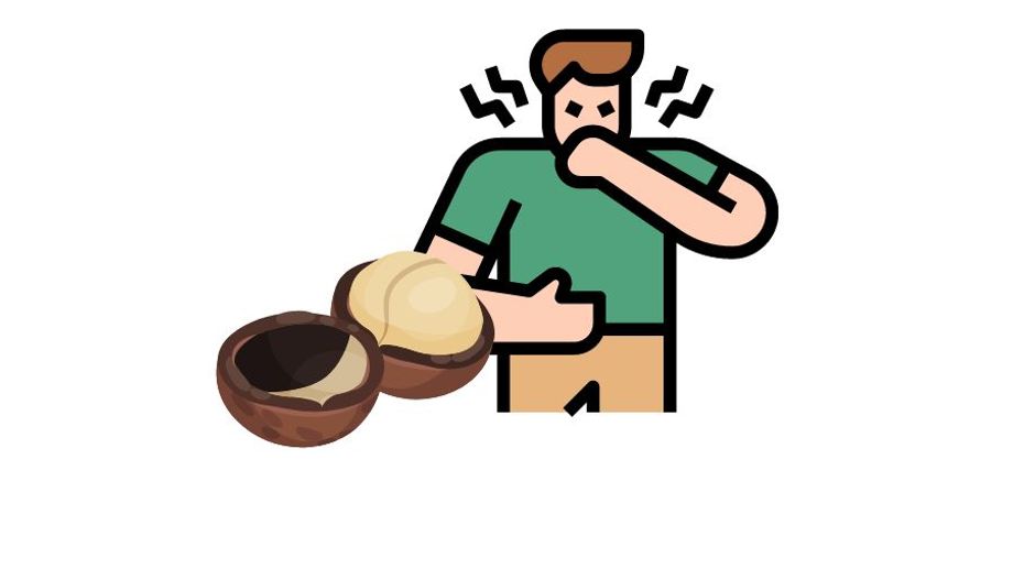 Tác dụng phụ của hạt (quả) macca (mắc ca)