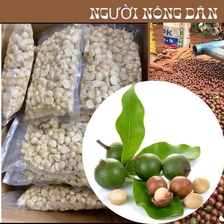 Nhân hạt macca bể đôi, nhân macca hữu cơ Tây Nguyên đã tách vỏ làm sữa hạt ăn vặt