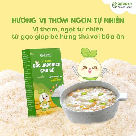 Gạo Japonica cho bé Ăn Dặm Anpaso 1kg - Giống gạo Nhật Bản chứa nhiều vitamin và khoáng chất